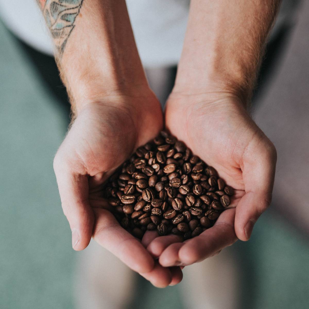 Potatoes, Eggs & Coffee Beans by Cass Carlopio (3m 24s) Aura