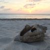 A Moment on the Beach