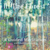 In the Forest:  A Meditative Journey Using Your Senses to Relax, to Dream, and Imagine