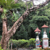 Rain in the Temple Gardens