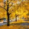 Hope Is Here: a Guided Prose Meditation
