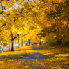 Hope Is Here: a Guided Prose Meditation