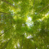 What Is Spiritual Abundance?