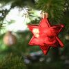 Paulina's Christmas