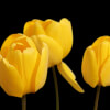 3 Life Practices To Guarantee Happiness