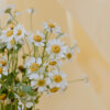 Be Honest with Yourself - 'Ask Dorothy'