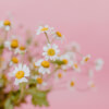 Be Honest with Yourself - 'Ask Dorothy'