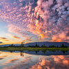 Coping with Life After Covid-19 Pandemic
