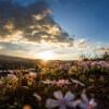 How To Feel Happy - A Guided Meditation