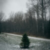 The Holiday Episode: Live the Magic
