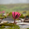 Meditation for Work