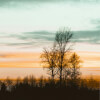 Meditation to Get Motivated