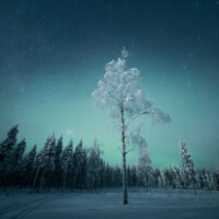 aura track
